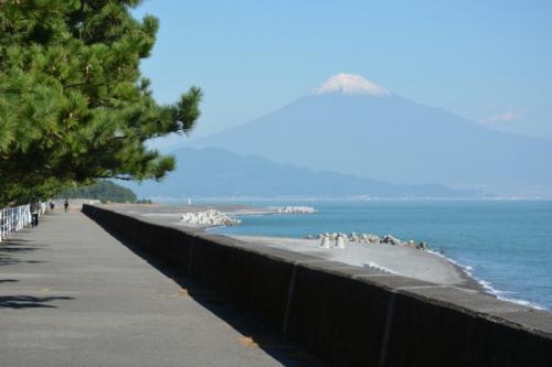 三保松原 富士山世界文化遺産構成資産登録 公式 静岡のおすすめ観光スポット 駿府静岡市 最高の体験と感動を