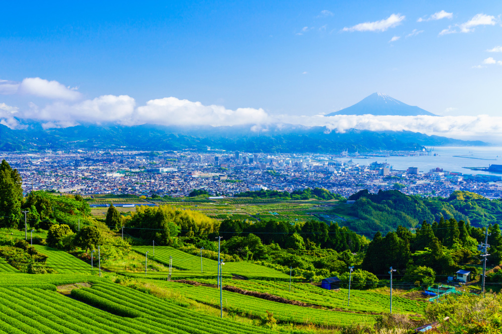 はじめての静岡市