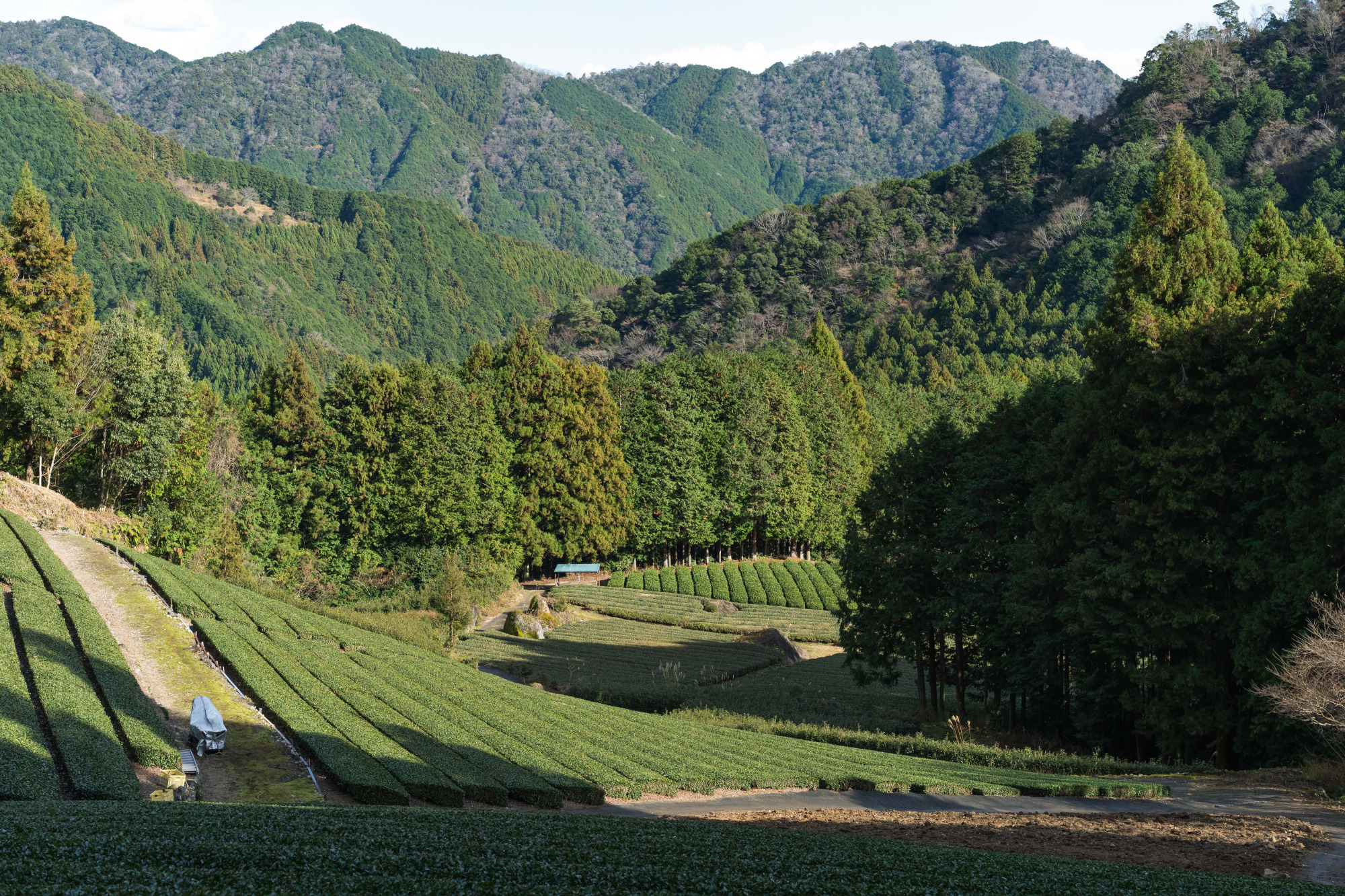 静岡駅発、公共交通で里山の温泉を目指す旅!