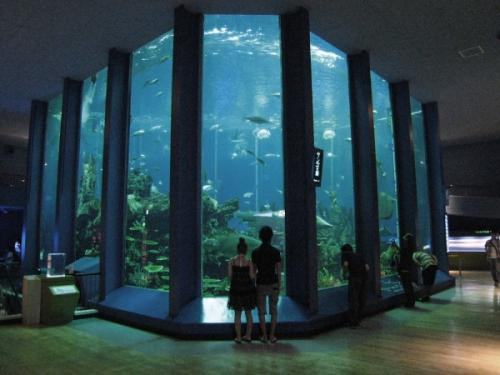 海のはくぶつかん 東海大学海洋科学博物館