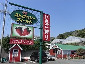 いちご狩り農園 Strawberry Field