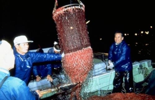 由比漁港(由比港漁業協同組合)