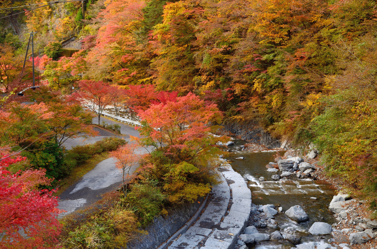 梅ヶ島温泉紅葉