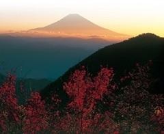 安倍峠(ハイキングコース)