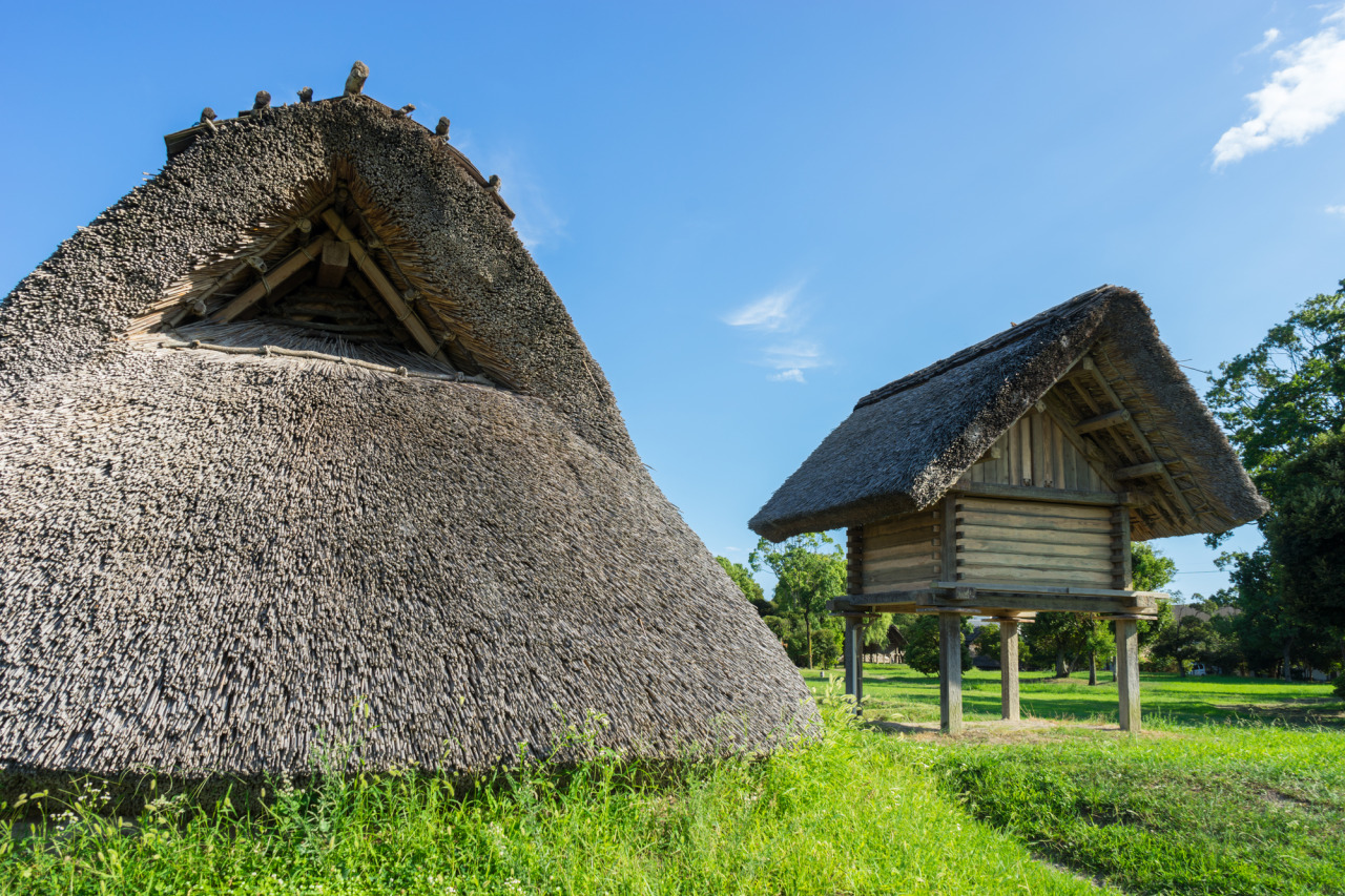 登呂遺跡/静岡市立登呂博物館