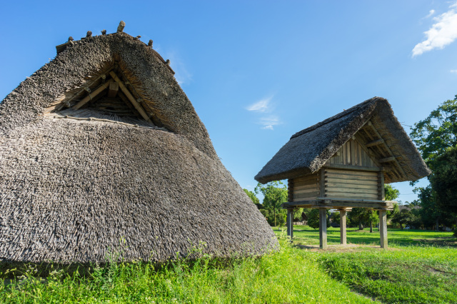 登呂遺跡/静岡市立登呂博物館