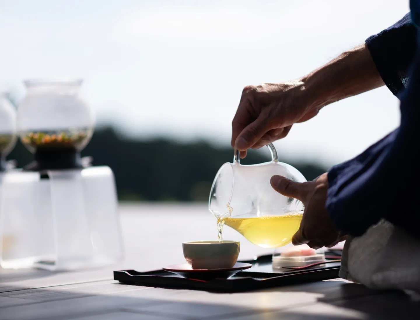 Japanese tea experience with a tea farmer